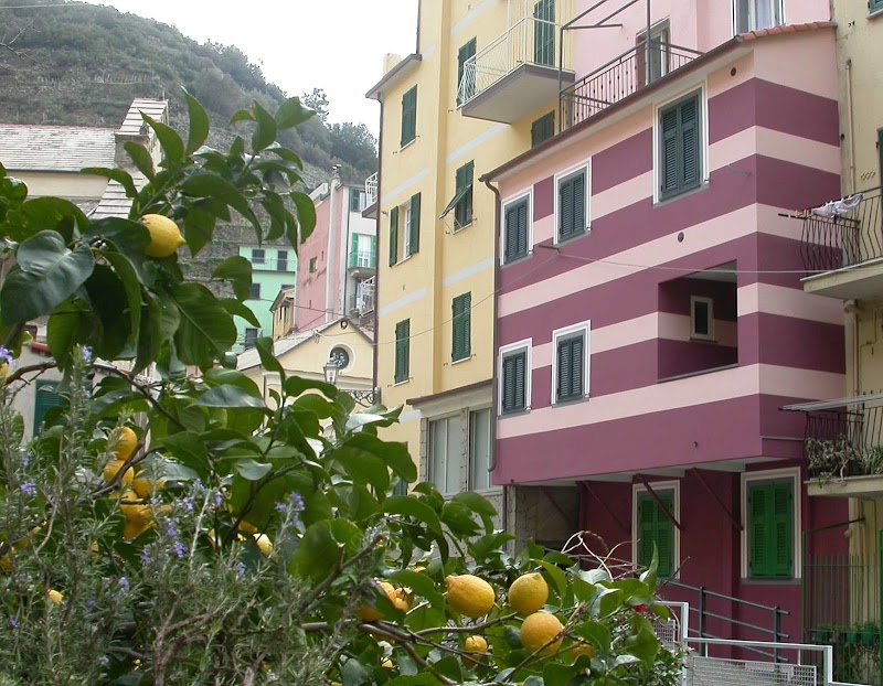Airbnb in Manarola