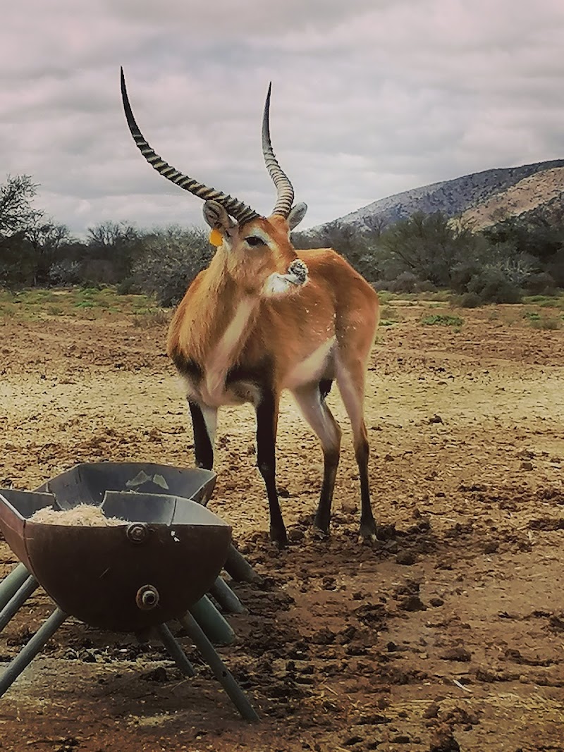 BHEJANE GAME RESERVE