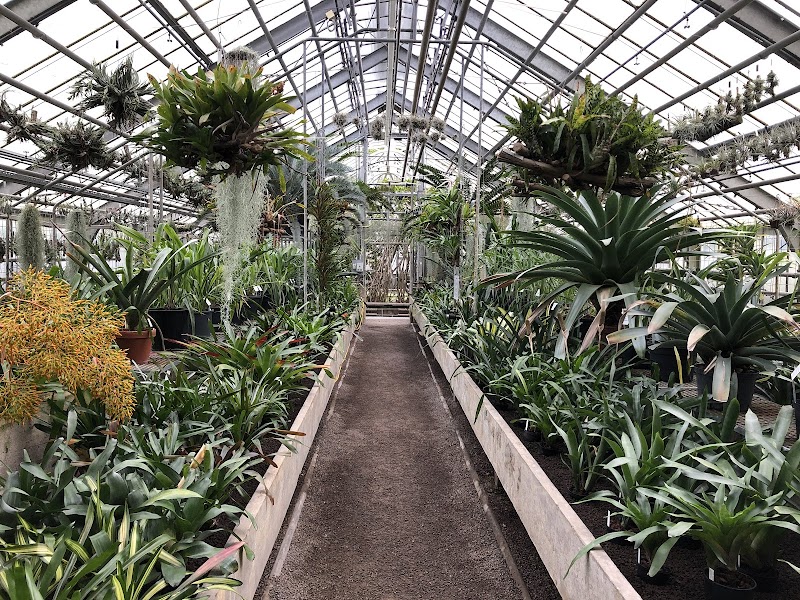 Botanical Garden of Heidelberg University