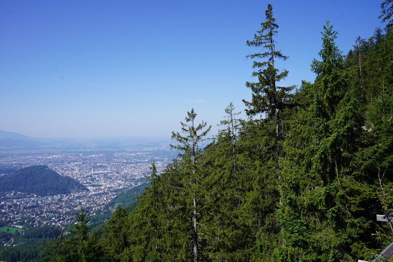 Gaisberg Hiking Day Trip