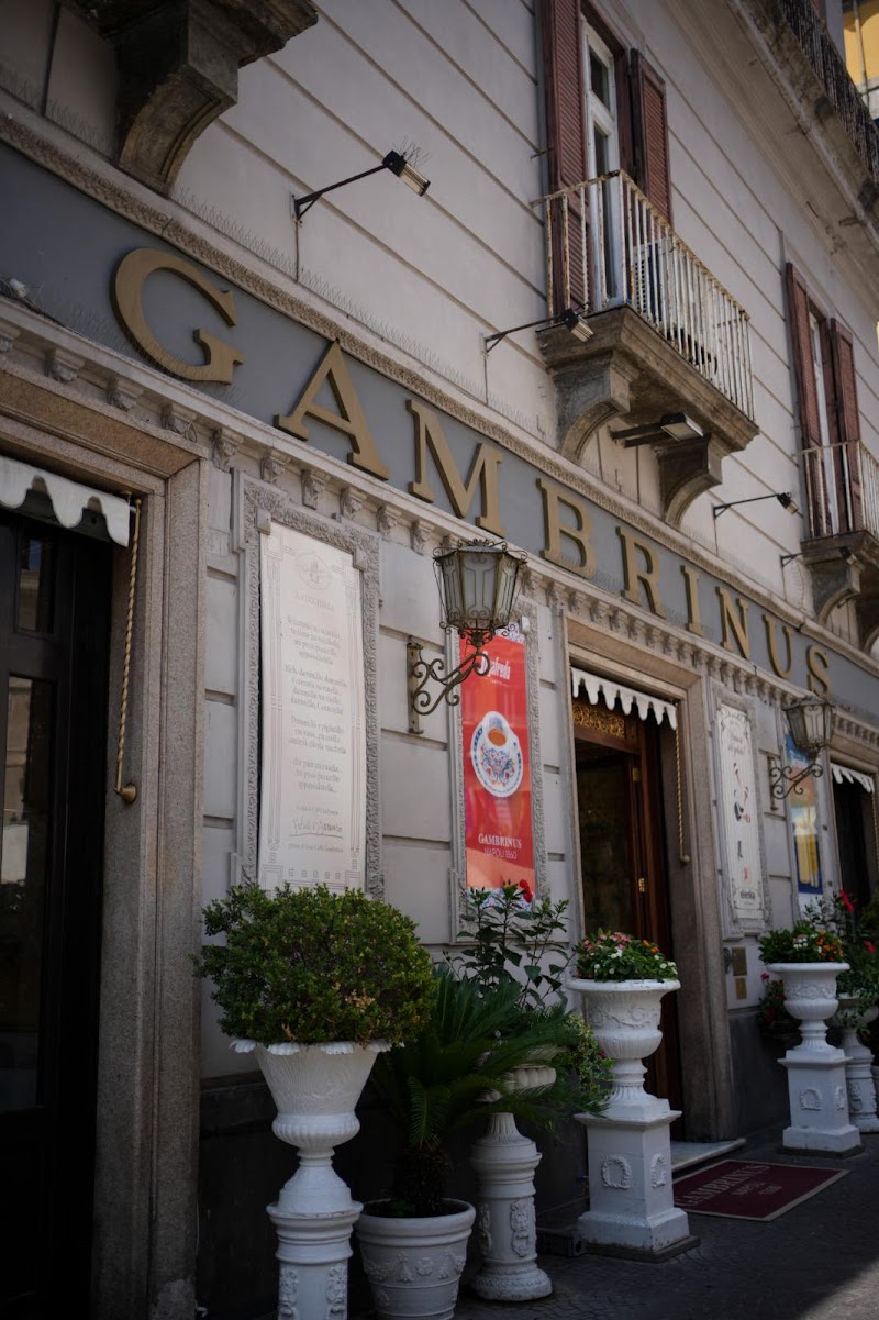 Gambrinus Coffee