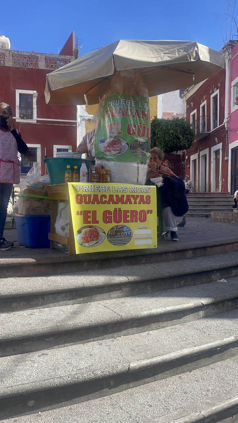Guacamayas El Güero
