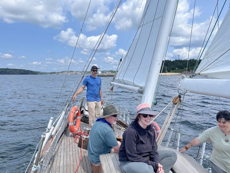 Harbour Tour