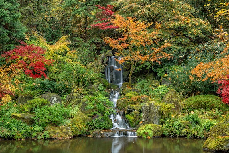 Japanese Garden
