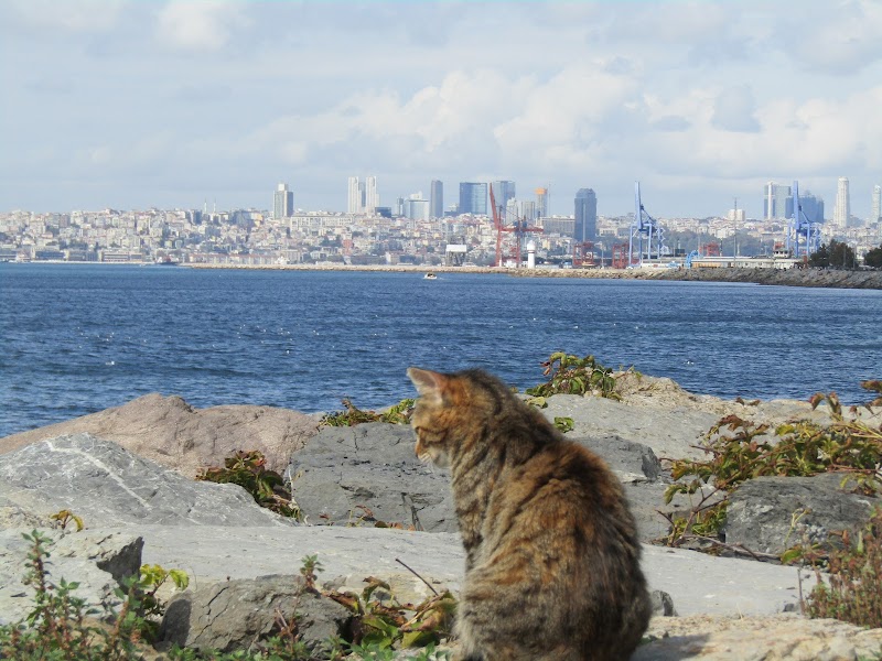 Kadikoy