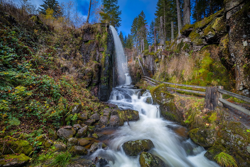 Menzenschwand Hike and Waterfall