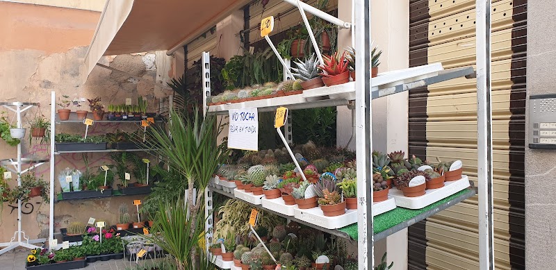 Mercado Municipal de Granada