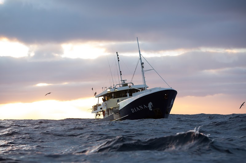 Mures Fishing Hobart