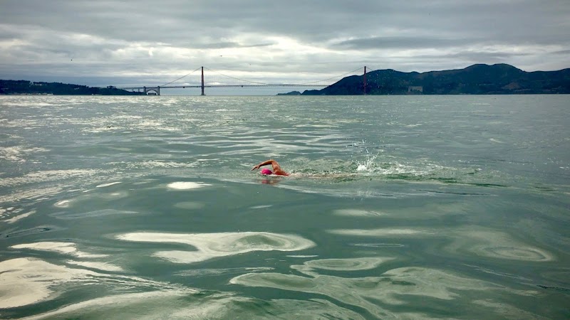 Pacific Open Water Swim Co