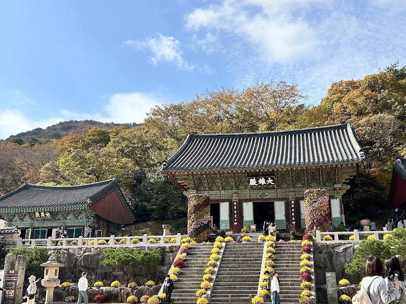 Peaceful Buddhist Temple (overnight stay)