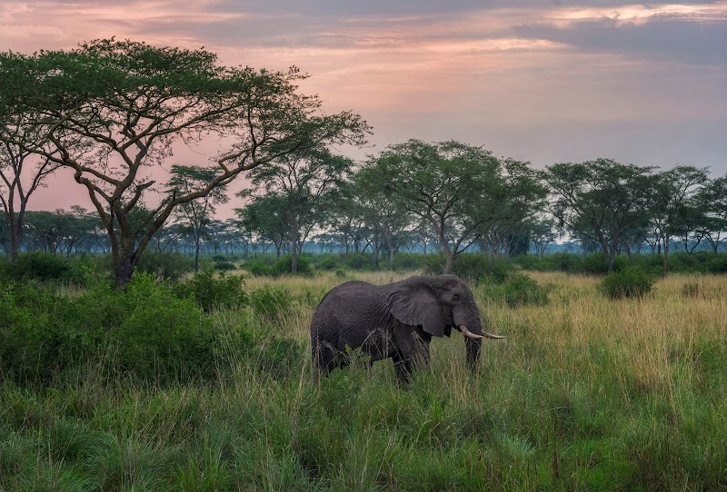 Queen Elizabeth National Park