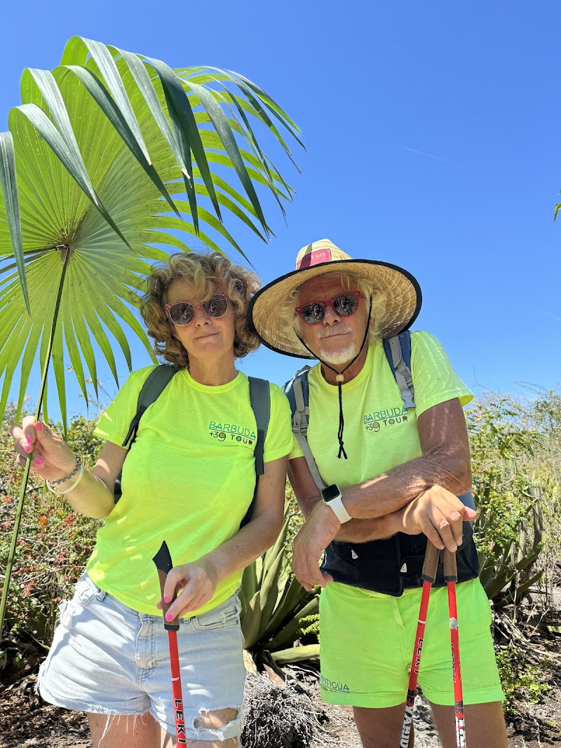 Scenic Tours in Antigua with Sean Beazer