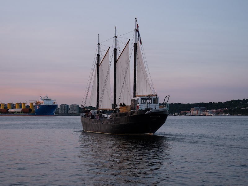Tall Ship Silva (Wines on the Water)