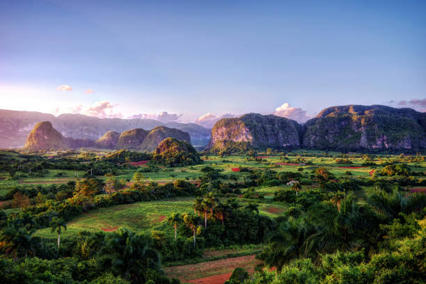 Vinales (Venalis)
