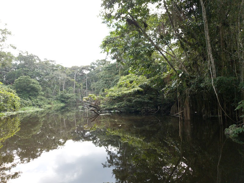 Yasuni National Park